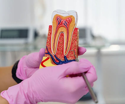Endodonti